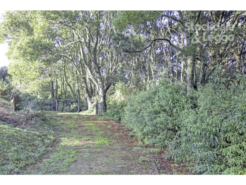 3320 South Gippsland Hwy, Foster North VIC 3960