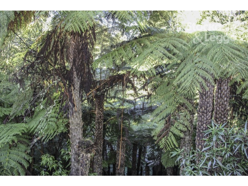 3320 South Gippsland Hwy, Foster North VIC 3960