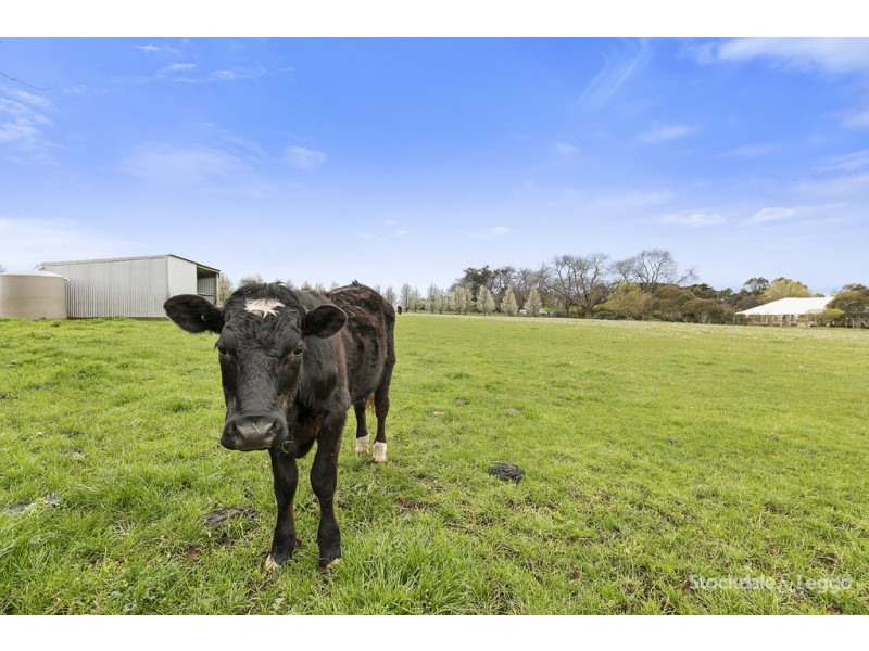 2 Ditchley Court, Leongatha VIC 3953