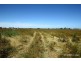 Lot 2 Ti Tree Road, Alberton VIC 3971