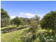 1045 Nerrena Road, Nerrena VIC 3953
