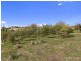 1045 Nerrena Road, Nerrena VIC 3953