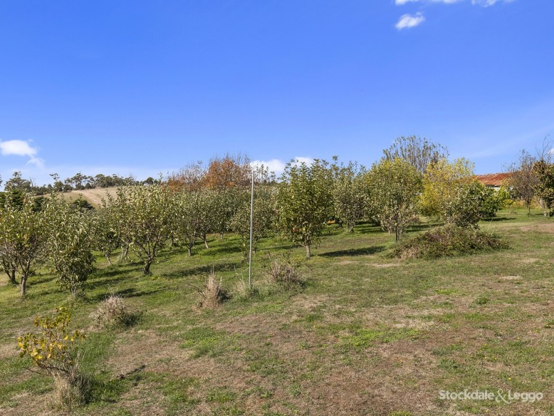 1045 Nerrena Road, Nerrena VIC 3953
