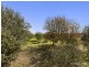 1045 Nerrena Road, Nerrena VIC 3953