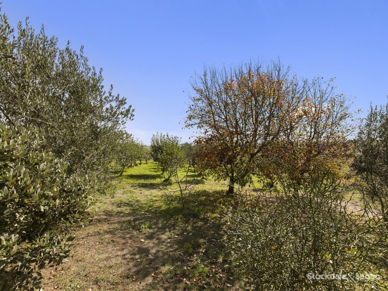 1045 Nerrena Road, Nerrena VIC 3953