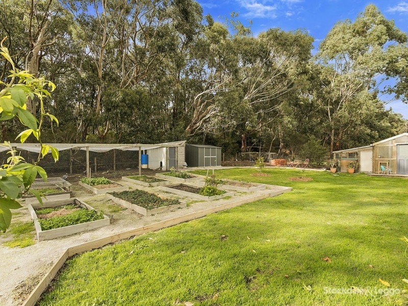 3 Manna Court, Koonwarra VIC 3954
