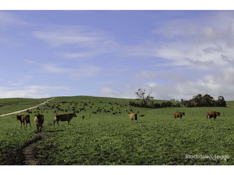 345 Old Koonwarra-Meeniyan Road, Koonwarra VIC 3954