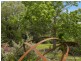 830 Nerrena Road, Nerrena VIC 3953