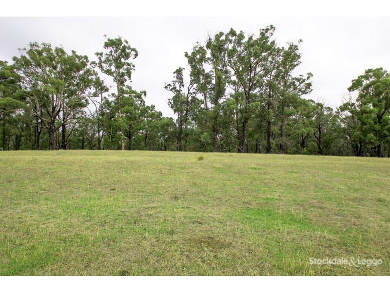 480 Forresters Road, Hallston VIC 3953