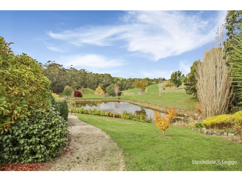 580 Nerrena Road, Nerrena VIC 3953