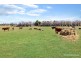 115 Gibson Street, Leongatha VIC 3953