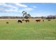 115 Gibson Street, Leongatha VIC 3953