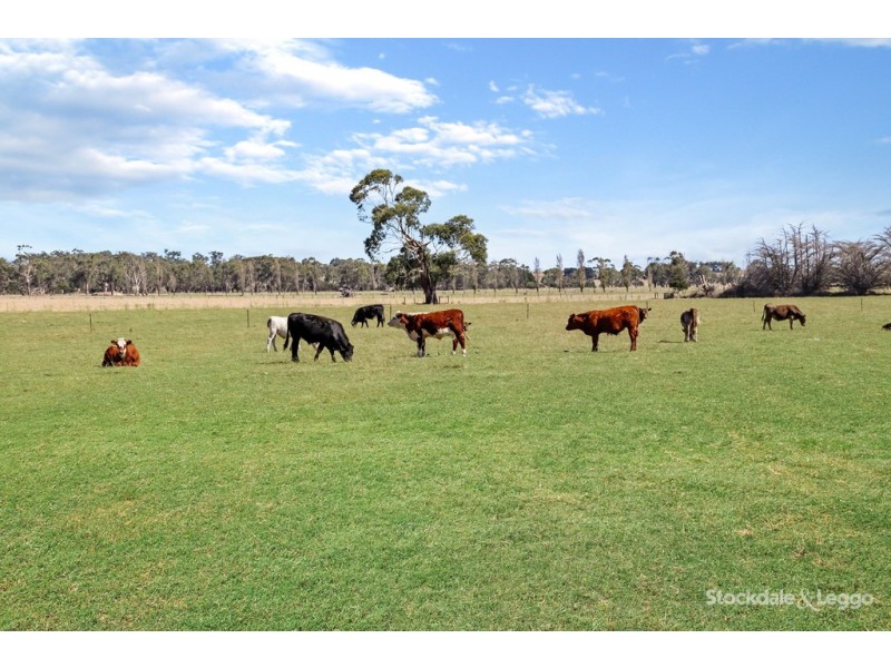 115 Gibson Street, Leongatha VIC 3953