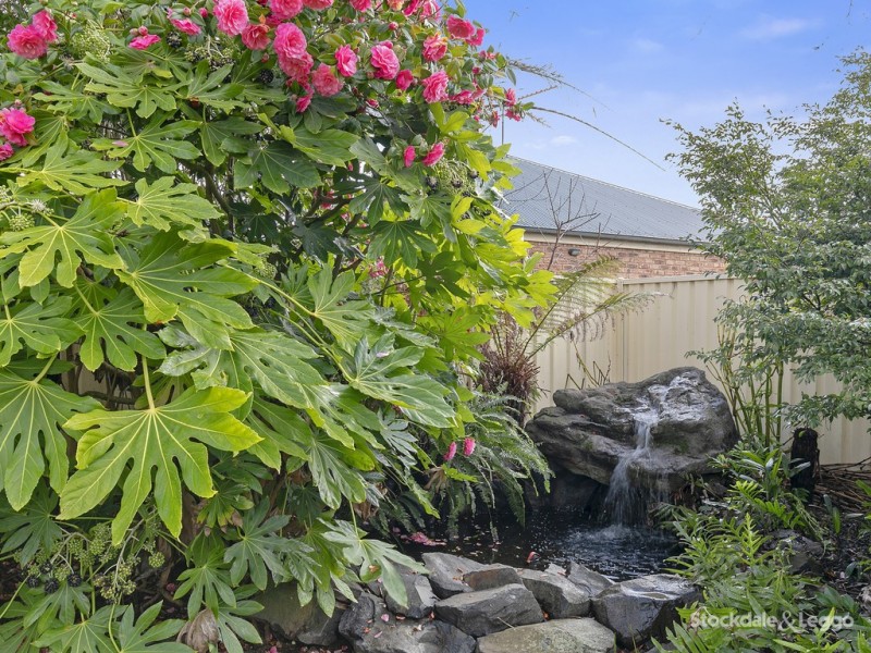 6 Carr Avenue, Leongatha VIC 3953