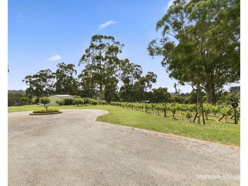 8795 South Gippsland Highway, Korumburra VIC 3950