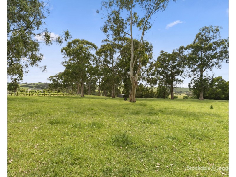 8795 South Gippsland Highway, Korumburra VIC 3950