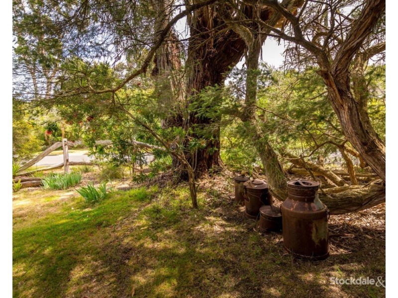 22 Birrahlea Street, Waratah Bay VIC 3959