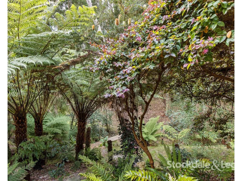 1 Griffin Street, Meeniyan VIC 3956