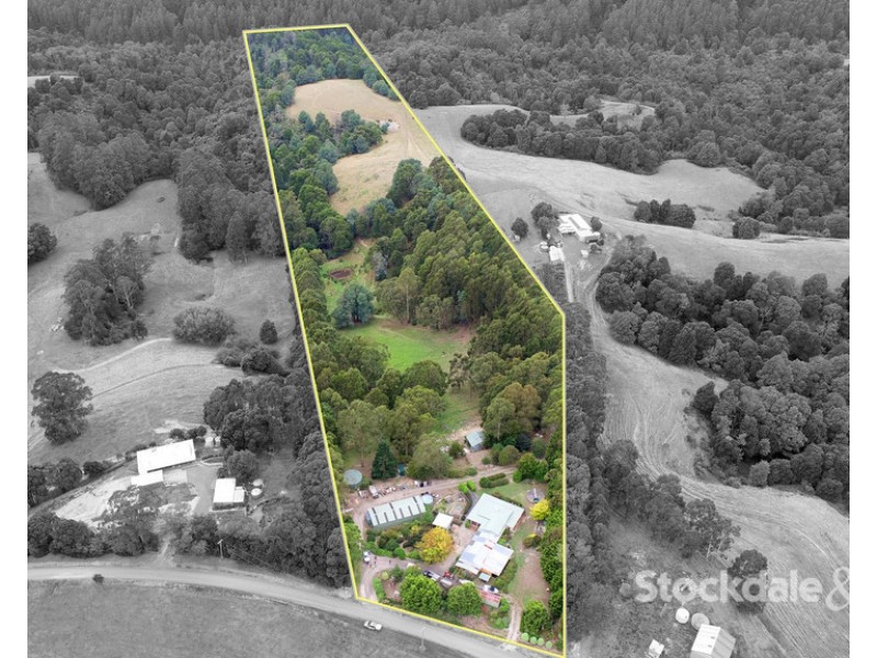 1040 Foster Mirboo Road, Dollar VIC 3871