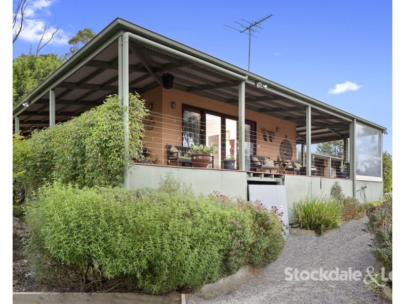 1040 Foster Mirboo Road, Dollar VIC 3871