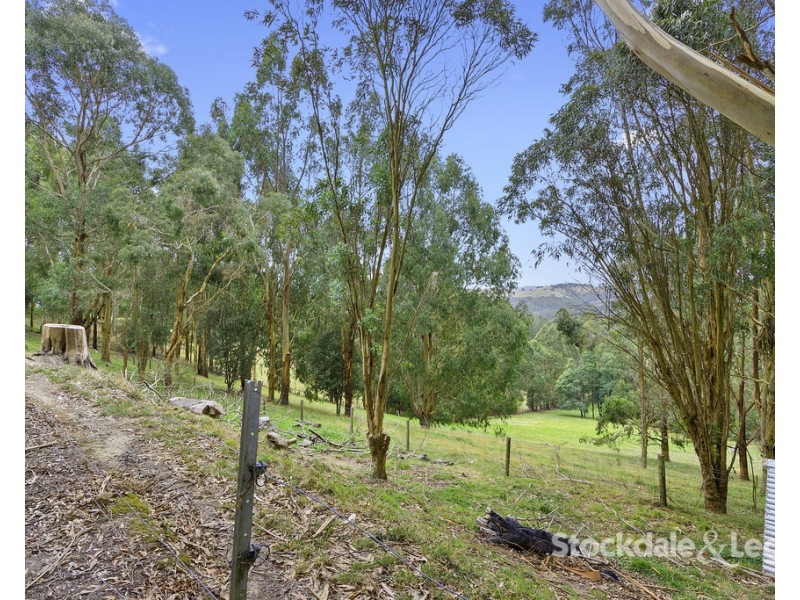 1040 Foster Mirboo Road, Dollar VIC 3871