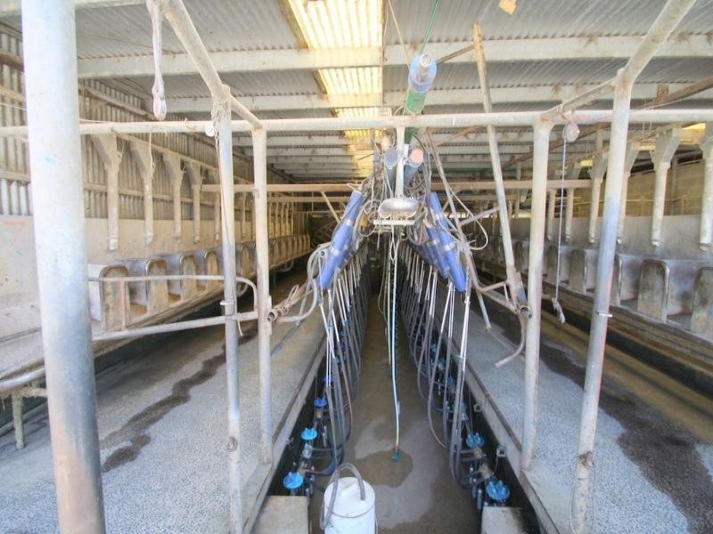 175 Old Nicholls Road, Mirboo North VIC 3871