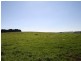 175 Old Nicholls Road, Mirboo North VIC 3871