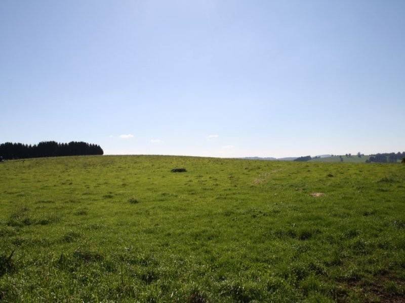 175 Old Nicholls Road, Mirboo North VIC 3871