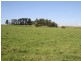 175 Old Nicholls Road, Mirboo North VIC 3871