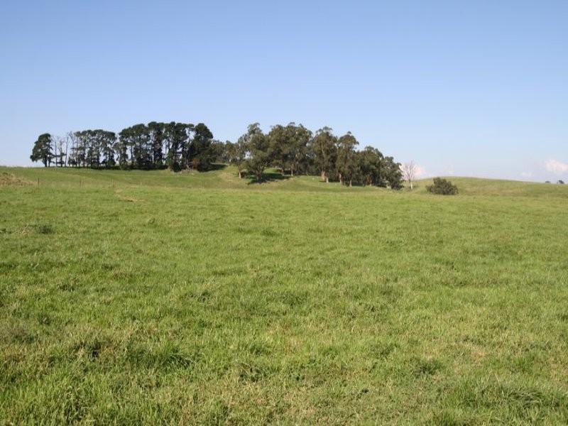 175 Old Nicholls Road, Mirboo North VIC 3871