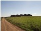 175 Old Nicholls Road, Mirboo North VIC 3871