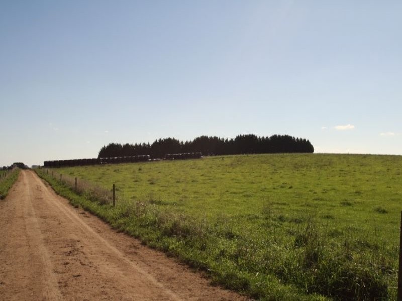 175 Old Nicholls Road, Mirboo North VIC 3871