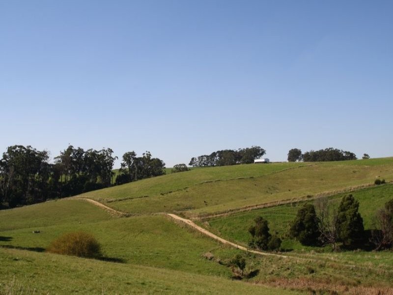 175 Old Nicholls Road, Mirboo North VIC 3871