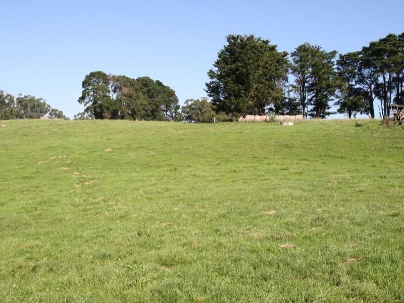 175 Old Nicholls Road, Mirboo North VIC 3871