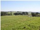 175 Old Nicholls Road, Mirboo North VIC 3871