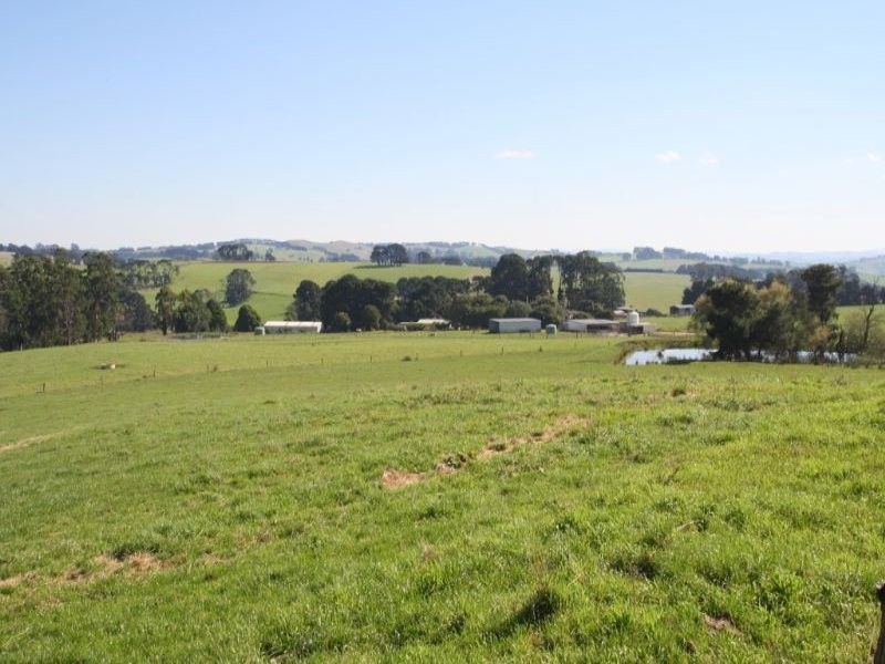 175 Old Nicholls Road, Mirboo North VIC 3871