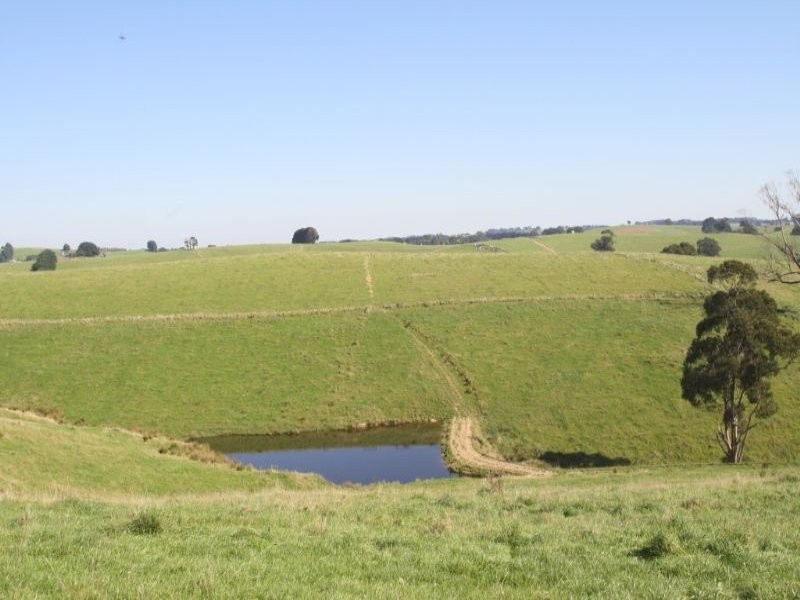 175 Old Nicholls Road, Mirboo North VIC 3871