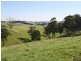 175 Old Nicholls Road, Mirboo North VIC 3871