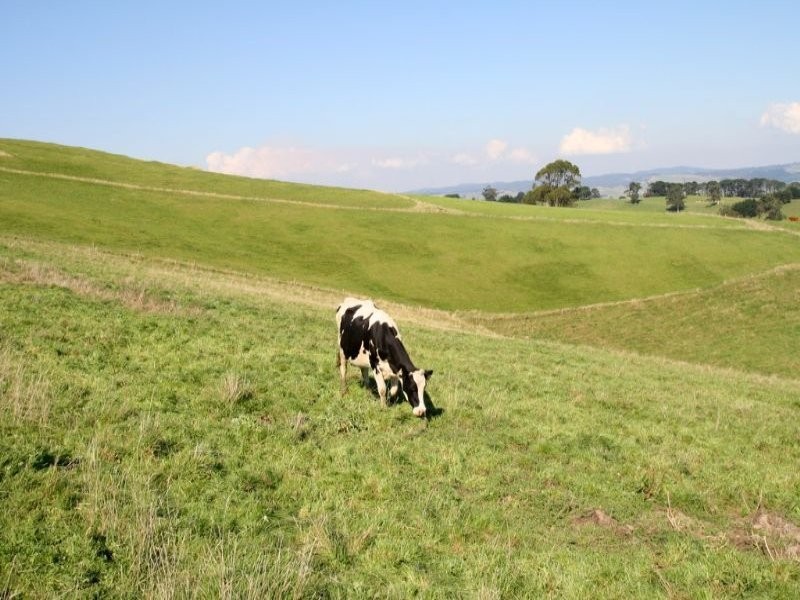 175 Old Nicholls Road, Mirboo North VIC 3871