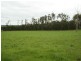 365 Dollar Road, Dumbalk VIC 3956