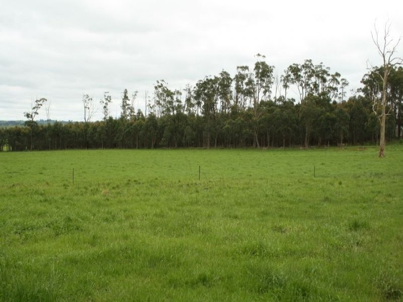 365 Dollar Road, Dumbalk VIC 3956