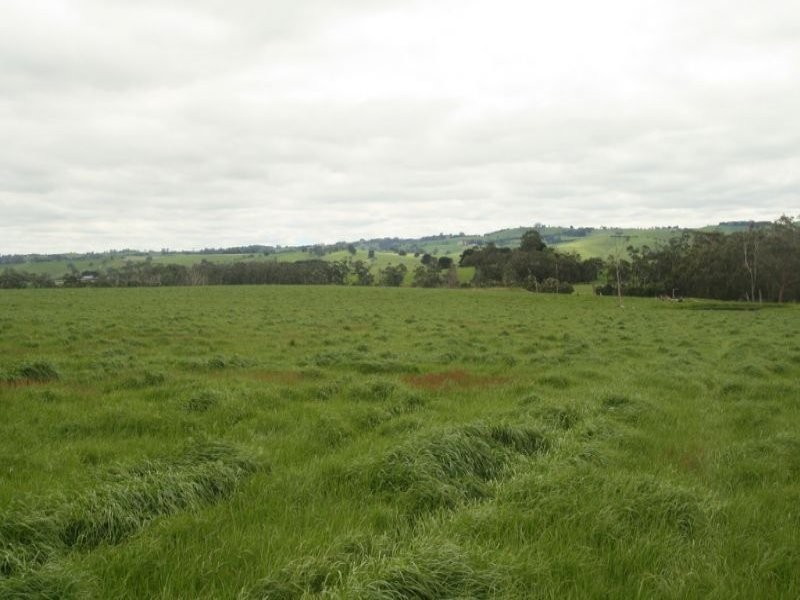 365 Dollar Road, Dumbalk VIC 3956