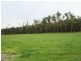 365 Dollar Road, Dumbalk VIC 3956