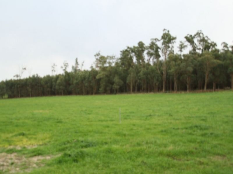 365 Dollar Road, Dumbalk VIC 3956