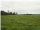 365 Dollar Road, Dumbalk VIC 3956
