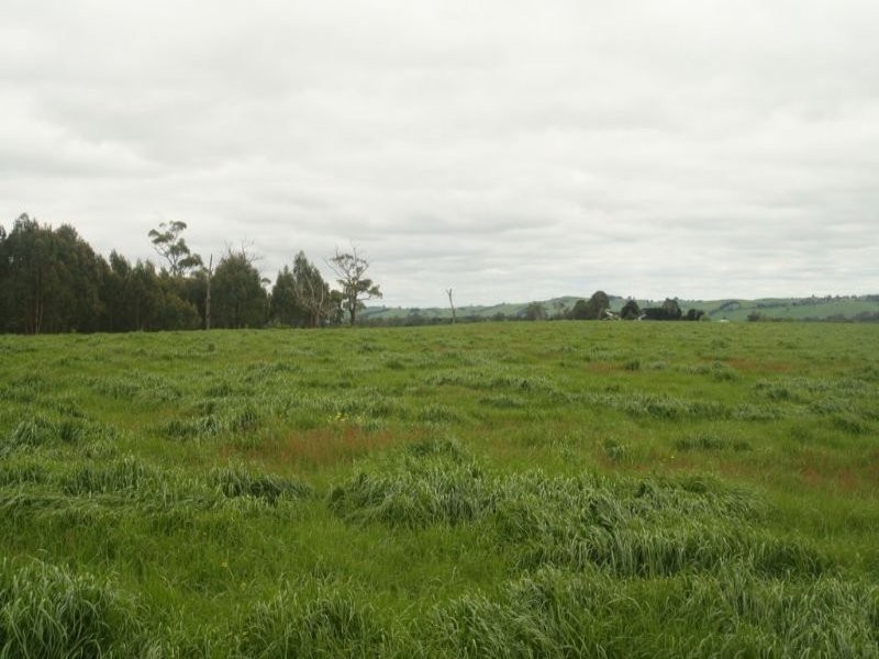 365 Dollar Road, Dumbalk VIC 3956
