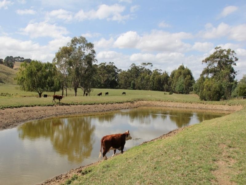 66 Goads Road, Dumbalk VIC 3956