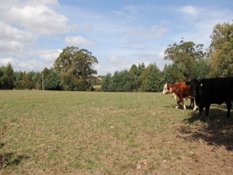 66 Goads Road, Dumbalk VIC 3956