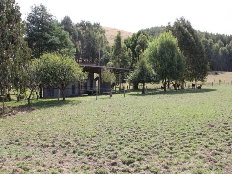 66 Goads Road, Dumbalk VIC 3956