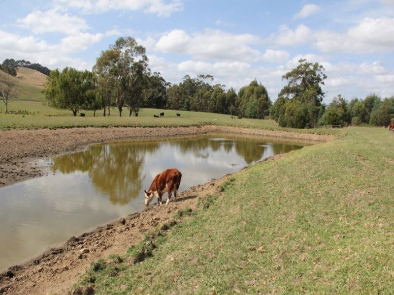 66 Goads Road, Dumbalk VIC 3956